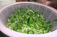 DSCF0864.JPG